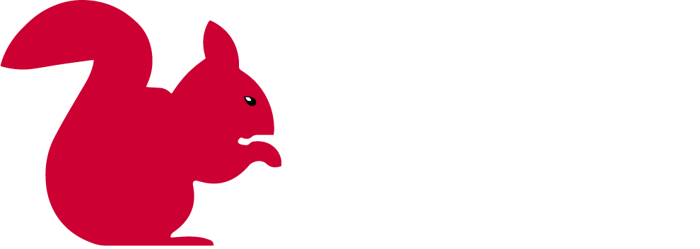 Squirrel Removals