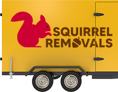 Squirrel Removals Truck